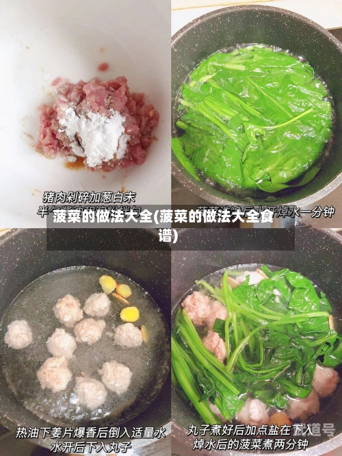 菠菜的做法大全(菠菜的做法大全食谱)