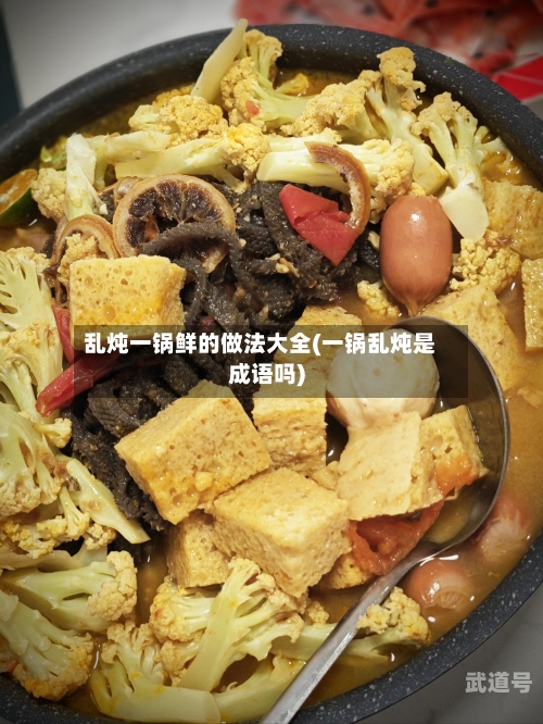 乱炖一锅鲜的做法大全(一锅乱炖是成语吗)