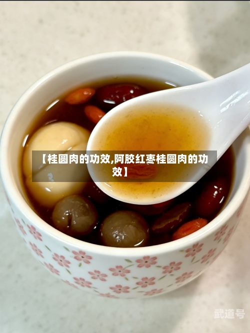 【桂圆肉的功效,阿胶红枣桂圆肉的功效】