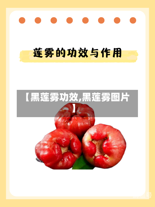 【黑莲雾功效,黑莲雾图片】
