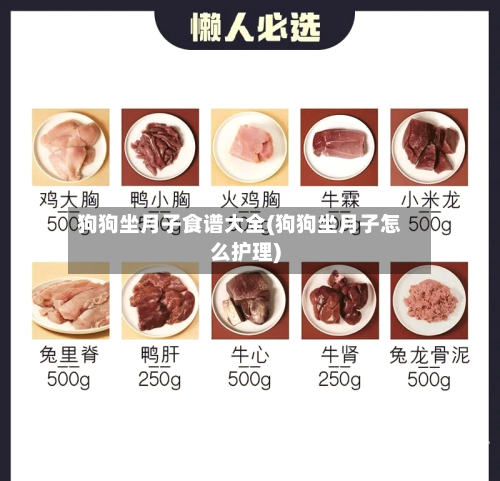 狗狗坐月子食谱大全(狗狗坐月子怎么护理)