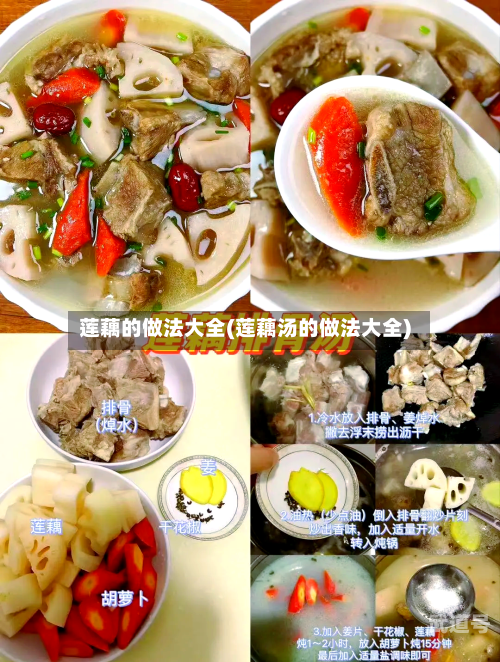 莲藕的做法大全(莲藕汤的做法大全)