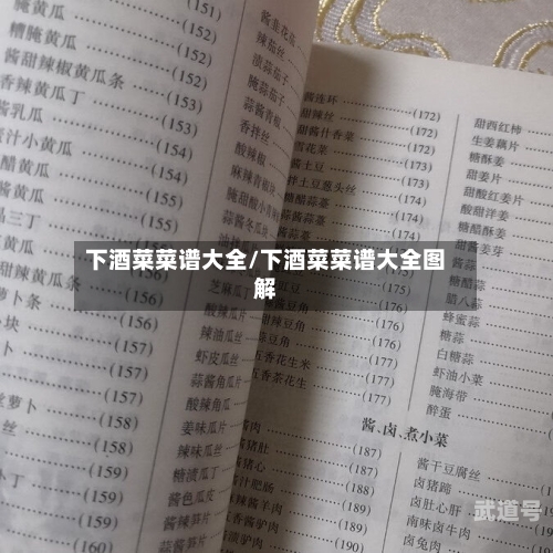 下酒菜菜谱大全/下酒菜菜谱大全图解