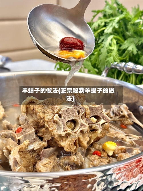 羊蝎子的做法(正宗秘制羊蝎子的做法)