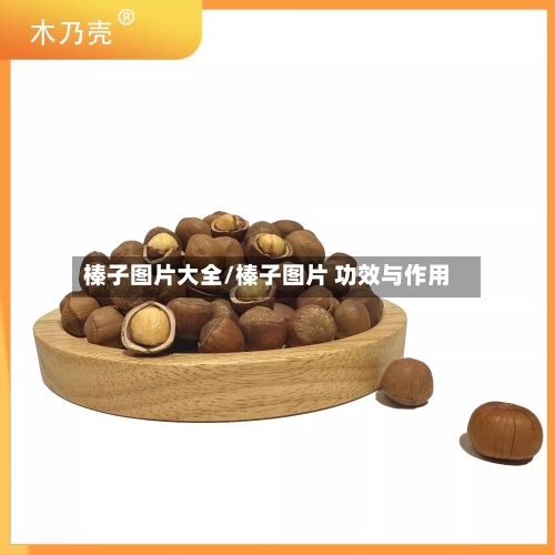 榛子图片大全/榛子图片 功效与作用-第3张图片