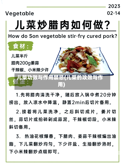 儿菜功效与作用禁忌(儿菜的攻效与作用)
