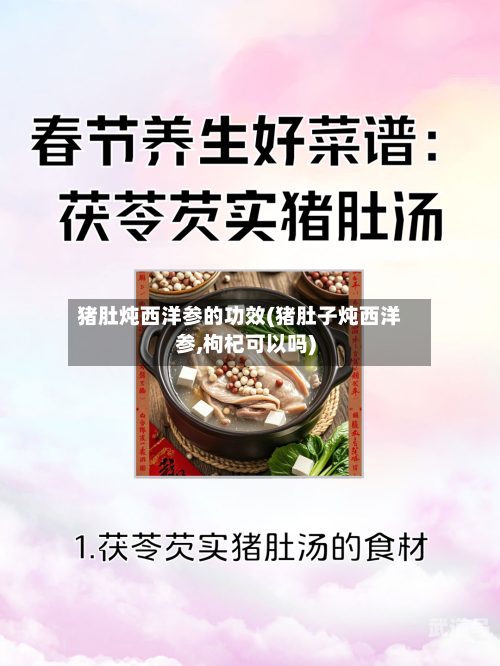 猪肚炖西洋参的功效(猪肚子炖西洋参,枸杞可以吗)