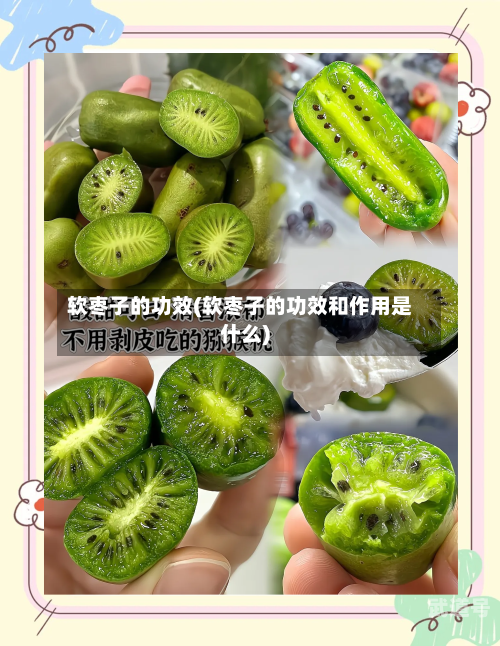 软枣子的功效(软枣子的功效和作用是什么)-第3张图片