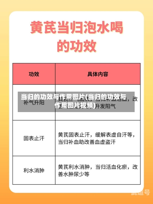 当归的功效与作用图片(当归的功效与作用图片视频)