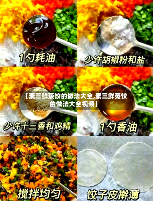 【素三鲜蒸饺的做法大全,素三鲜蒸饺的做法大全视频】
