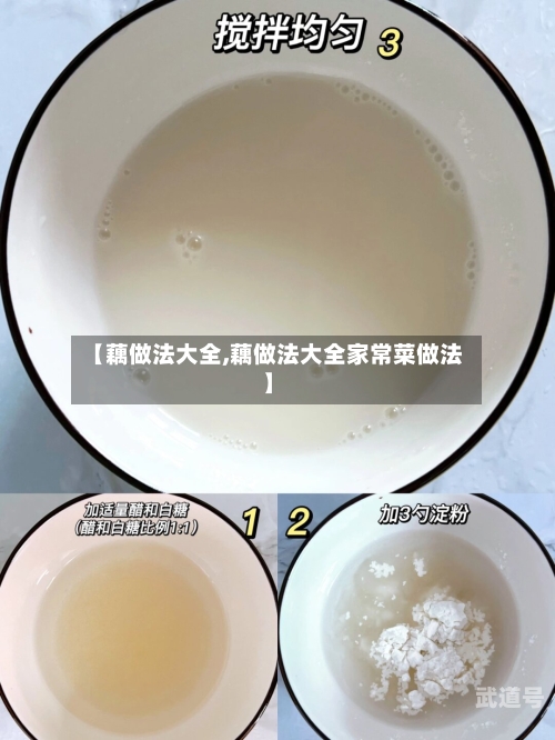【藕做法大全,藕做法大全家常菜做法】