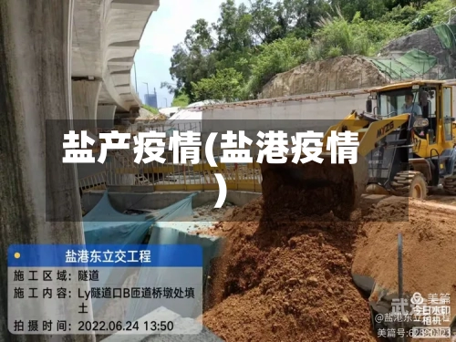 盐产疫情(盐港疫情)