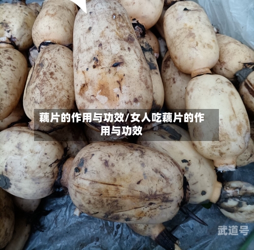 藕片的作用与功效/女人吃藕片的作用与功效-第3张图片