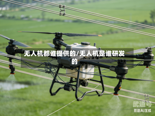 无人机都谁提供的/无人机是谁研发的
