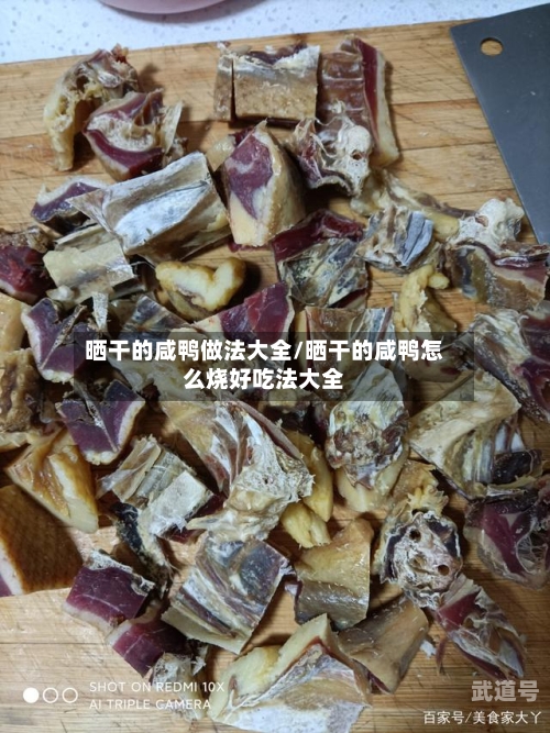 晒干的咸鸭做法大全/晒干的咸鸭怎么烧好吃法大全