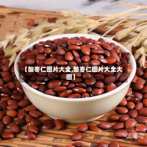 【酸枣仁图片大全,酸枣仁图片大全大图】