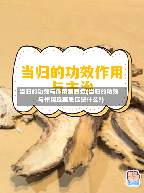 当归的功效与作用禁忌症(当归的功效与作用及禁忌症是什么?)