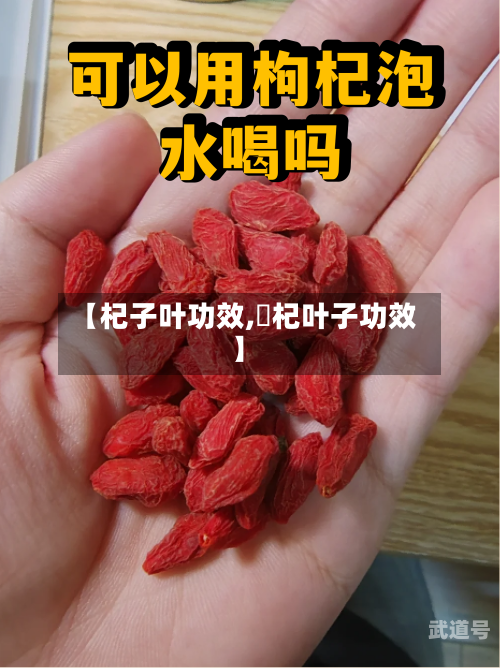 【杞子叶功效,枹杞叶子功效】