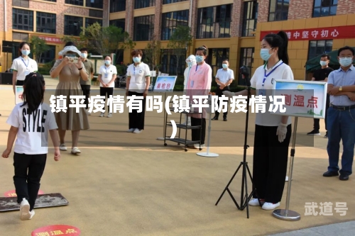 镇平疫情有吗(镇平防疫情况)
