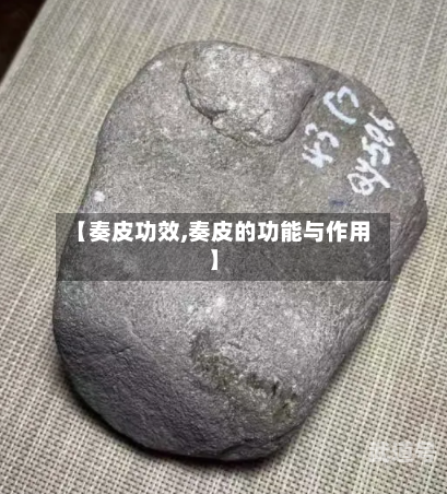 【奏皮功效,奏皮的功能与作用】