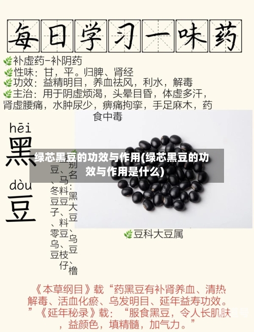 绿芯黑豆的功效与作用(绿芯黑豆的功效与作用是什么)-第3张图片
