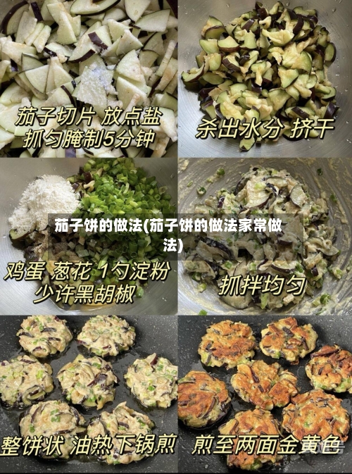 茄子饼的做法(茄子饼的做法家常做法)