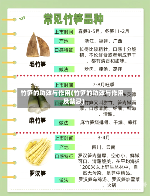 竹笋的功效与作用(竹笋的功效与作用及禁忌)