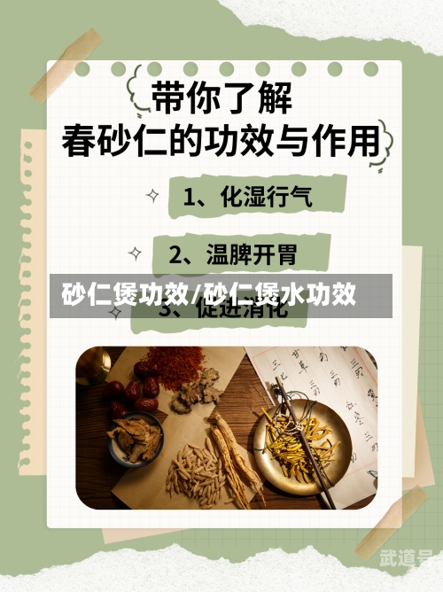 砂仁煲功效/砂仁煲水功效