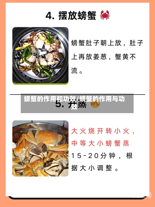 螃蟹的作用和功效/螃蟹的作用与功效