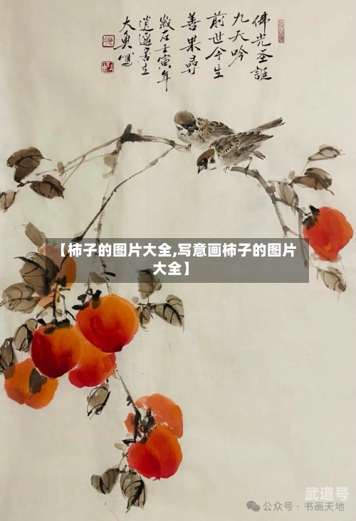 【柿子的图片大全,写意画柿子的图片大全】-第3张图片