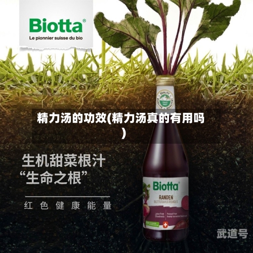 精力汤的功效(精力汤真的有用吗)