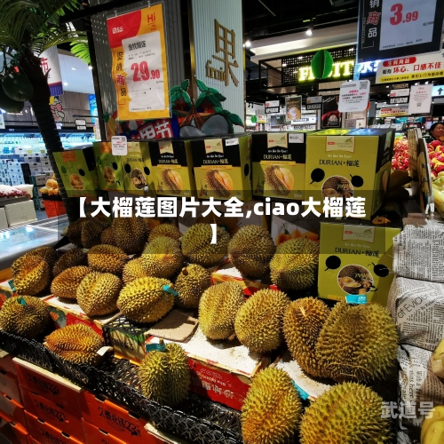 【大榴莲图片大全,ciao大榴莲】-第1张图片