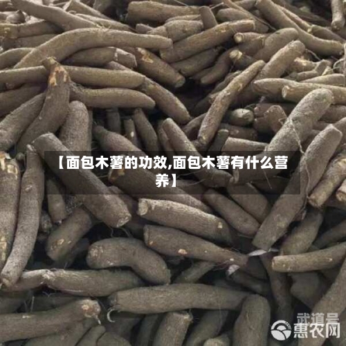 【面包木薯的功效,面包木薯有什么营养】