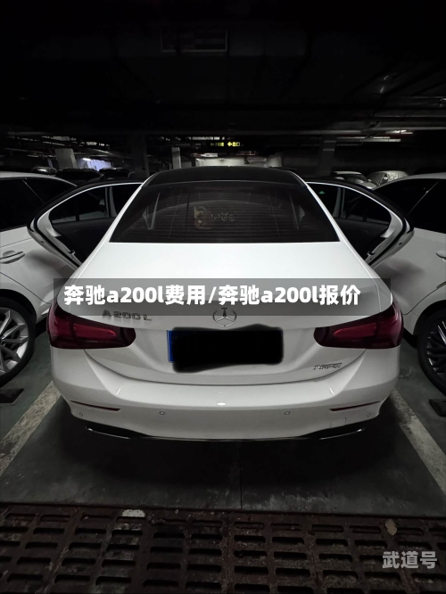 奔驰a200l费用/奔驰a200l报价-第2张图片