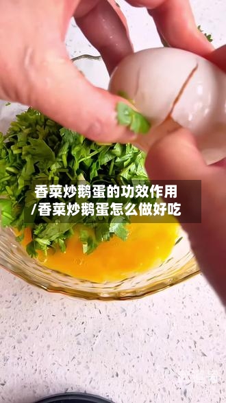 香菜炒鹅蛋的功效作用/香菜炒鹅蛋怎么做好吃-第3张图片