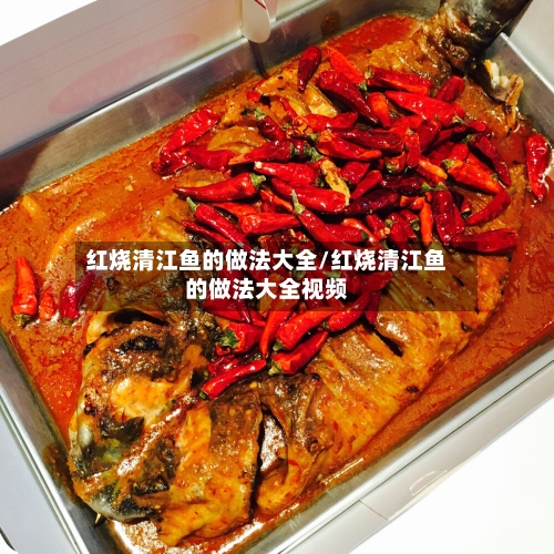 红烧清江鱼的做法大全/红烧清江鱼的做法大全视频