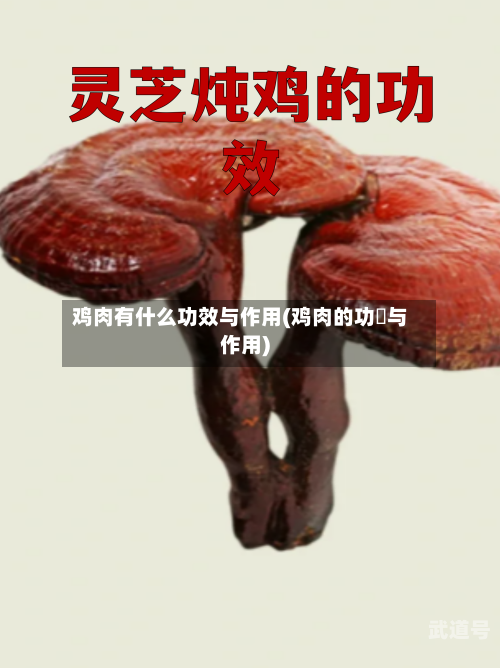鸡肉有什么功效与作用(鸡肉的功効与作用)