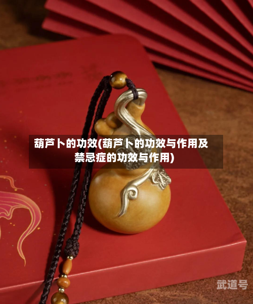 葫芦卜的功效(葫芦卜的功效与作用及禁忌症的功效与作用)