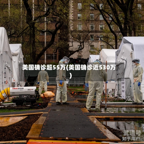 美国确诊超55万(美国确诊近530万)-第3张图片