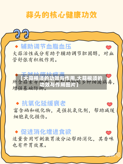 【大蒜根须的功效与作用,大蒜根须的功效与作用图片】