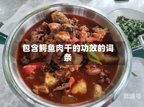 包含鳄鱼肉干的功效的词条