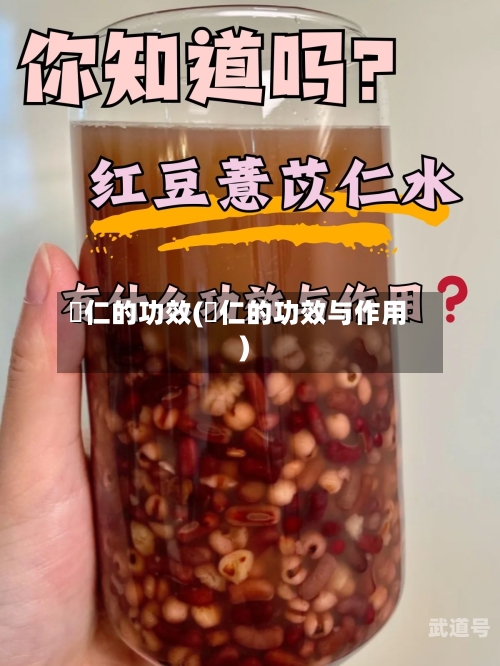 栢仁的功效(笖仁的功效与作用)