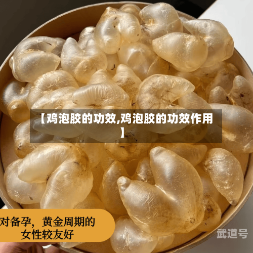 【鸡泡胶的功效,鸡泡胶的功效作用】