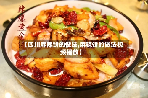 【四川麻辣饼的做法,麻辣饼的做法视频播放】