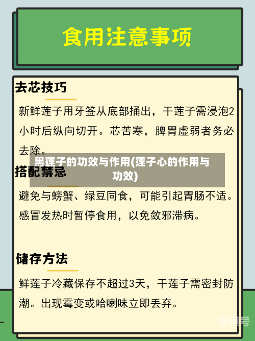 黑莲子的功效与作用(莲子心的作用与功效)-第3张图片