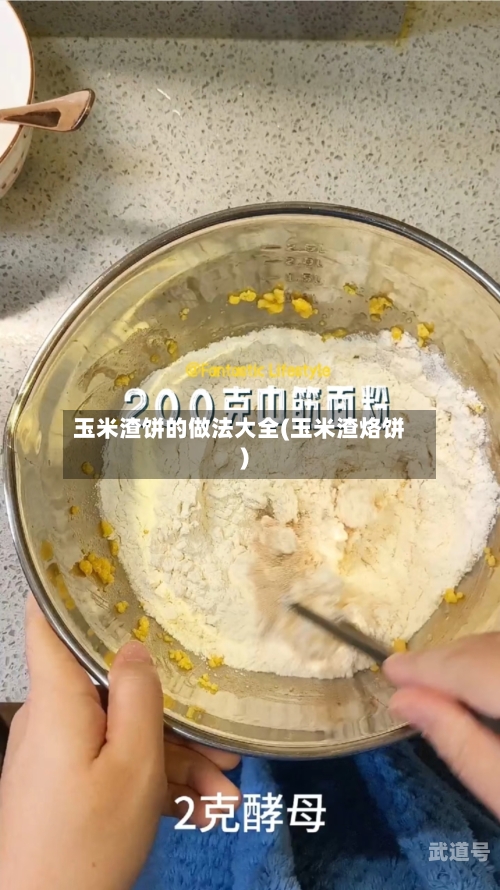 玉米渣饼的做法大全(玉米渣烙饼)