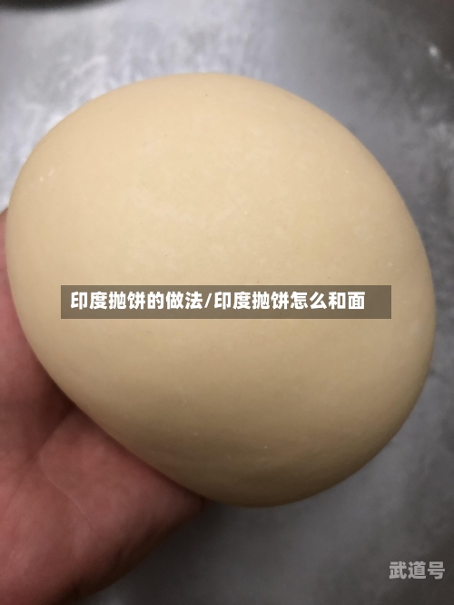 印度抛饼的做法/印度抛饼怎么和面