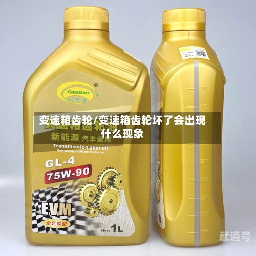 变速箱齿轮/变速箱齿轮坏了会出现什么现象-第3张图片