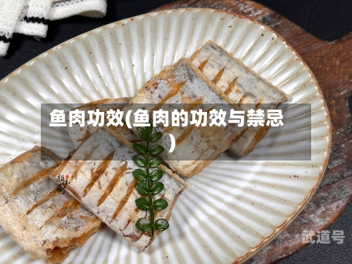 鱼肉功效(鱼肉的功效与禁忌)