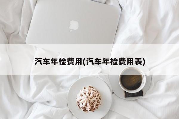 汽车年检费用(汽车年检费用表)